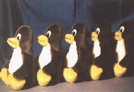 Linux