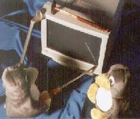 Linux